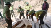 Khởi tố vụ phá rừng nghiêm trọng ở Phong Nha Kẻ Bàng