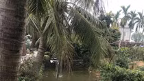 Đến nhà bà ngoại chơi Tết, 2 cháu bé đuối nước thương tâm 