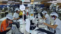 Mạnh tay xử lý các doanh nghiệp nợ, trốn đóng BHXH
