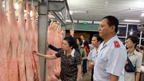 Quyết tâm không để virus tả lợn châu Phi xâm nhập vào TP HCM
