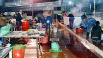 2 cơ sở giết mổ gia súc xả thải trực tiếp ra môi trường