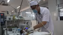 Bị liệt não, hôn mê sâu vì bị ong đốt