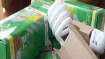 Thu giữ hơn 700 bóng đèn giả nhãn hiệu Rạng Đông