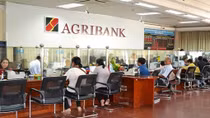Agribank giúp người nông dân hiện thực hóa ước mơ làm giàu