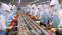 EVFTA dự kiến có hiệu lực trong tháng 7/2020