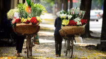 Lối xưa xe ngựa hồn thu thảo...
