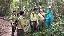Tuần tra giữ rừng, bảo vệ cây dược liệu
