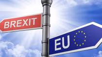 Hạ viện Anh thông qua lần thứ nhất thỏa thuận Brexit: Vừa mừng, vừa lo