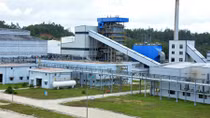 Yêu cầu xác định rõ chi phí để tái khởi động nhà máy sơ xợi Đình Vũ và Ethanol Dung Quất
