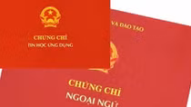 Bỏ chứng chỉ tin học, ngoại ngữ đối với giáo viên
