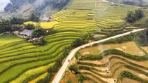 Đặc sắc Tuần văn hóa du lịch “Qua miền những di sản ruộng bậc thang”