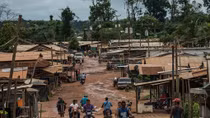 Những ông trùm mỏ vàng ở Venezuela – Kỳ 2