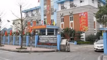 Triệt phá đường dây hàng trăm nghìn tấn than lậu