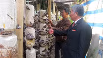  Hơn 6 vạn lượt hộ dân được vay 894 tỷ đồng phát triển sản xuất