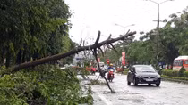 Bão số 2 không lớn nhưng rất bất thường