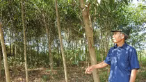 Trên những cung đường Trường Sơn huyền thoại - Bài 3
