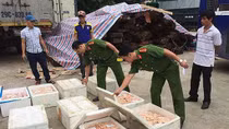 Hy vọng đẩy lùi vấn nạn thực phẩm bẩn