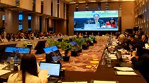Khai mạc Hội nghị lần thứ nhất các quan chức cao cấp APEC 2017