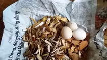 “Ma thuốc độc”: Lời đồn tai hại