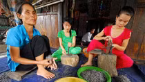 Vực dậy giáo dục, hướng nghiệp cho vùng đồng bằng sông Cửu Long