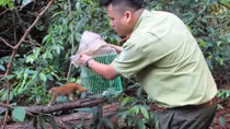 Thả động vật quý hiếm về rừng tự nhiên