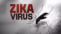 UBND TP Hồ Chí Minh họp khẩn về phòng chống dịch Zika