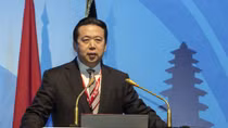 Chủ tịch Interpol Mạnh Hồng Vĩ sa lưới