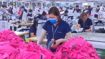 Siết chặt quản lý thu, chi các loại bảo hiểm