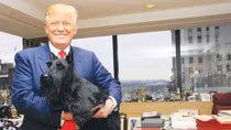 Tổng thống Donald Trump: Nguyên thủ tuổi Tuất dám nói, dám làm