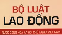 Công ty CP Vận tải ôtô Hàng không cần tuân thủ Luật Lao động