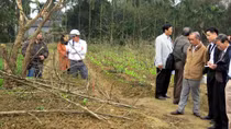 Xác định nơi nguyên táng đại thi hào Nguyễn Du để có biện pháp bảo tồn