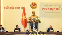 Bảo đảm cử tri cả nước được tham gia ứng cử, bầu cử một cách dân chủ, công bằng