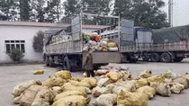 Phát hiện 7 tấn mỡ chứa giòi bọ đưa về Hà Nội tiêu thụ