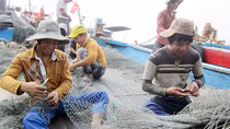 Xã có nhiều học sinh bỏ học đi biển