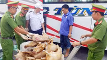 Công an các tỉnh ĐBSCL căng sức chống dịch bệnh của lợn