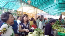 Khai mạc lễ hội đặc sản thanh trà Huế