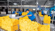 Chống độc quyền để tạo cạnh tranh bình đẳng