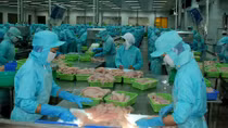Cả nước xuất siêu 7,25 tỷ USD nông, lâm, thủy sản 