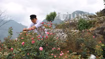 Những chàng trai giúp cao nguyên đá nở hoa