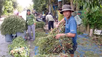 Nông nghiệp đứng “bên lề” trong thu hút FDI