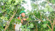 Có thương hiệu cũng gặp khó - Kỳ 2