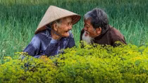Tam truyền thất bổn