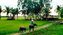 Bạn Làng
