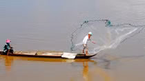 Nhớ mùa cá ra sông