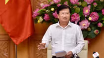 Quyết liệt, khẩn trương, cầu thị để gỡ ‘thẻ vàng’ đối với thủy sản Việt Nam