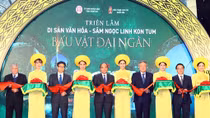 Thủ tướng kỳ vọng sâm Ngọc Linh có thể trở thành một yếu tố hấp dẫn du lịch