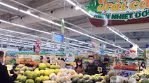 Lĩnh vực xuất nhập khẩu vượt khó như thế nào?