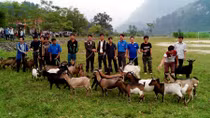 Đoàn Thanh niên Bộ Công an hoạt động thiện nguyện tại Hà Giang