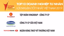 Techcombank trong Top 3 doanh nghiệp tư nhân có lợi nhuận tốt nhất năm 2019