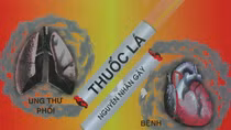 Hút thuốc và mối ràng buộc nguy hại với bệnh tim
